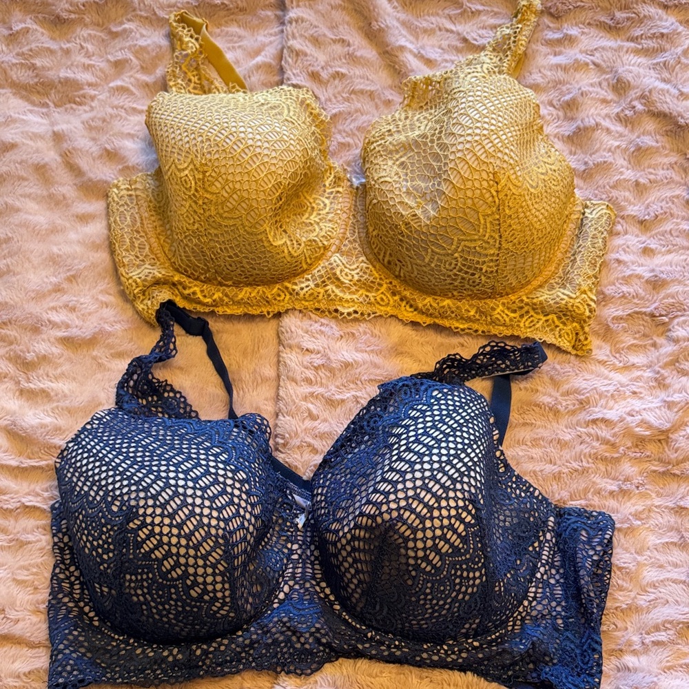 Lane Bryant Cacique collection in Yellow and Blue Lace Bra